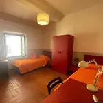 Palmieri Flat
